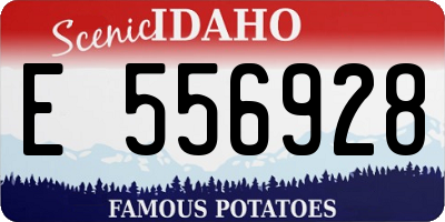 ID license plate E556928