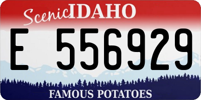ID license plate E556929