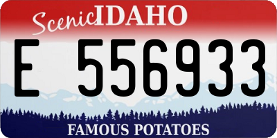 ID license plate E556933