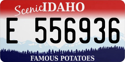 ID license plate E556936