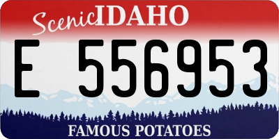 ID license plate E556953
