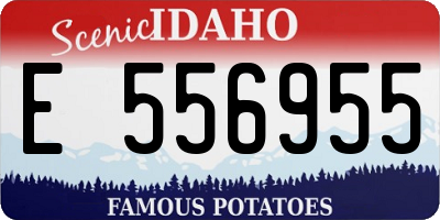 ID license plate E556955