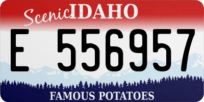 ID license plate E556957