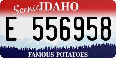 ID license plate E556958
