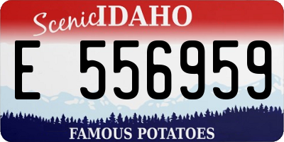 ID license plate E556959