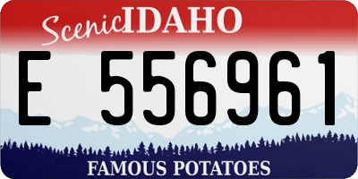 ID license plate E556961