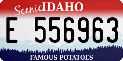 ID license plate E556963