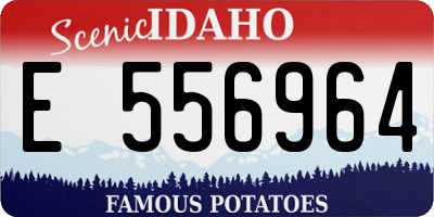 ID license plate E556964