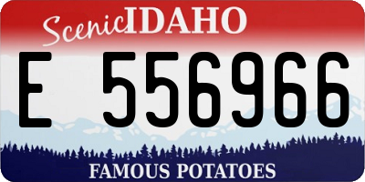 ID license plate E556966