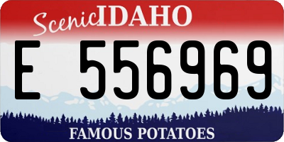 ID license plate E556969