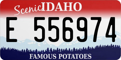 ID license plate E556974