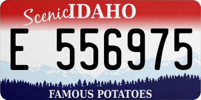 ID license plate E556975