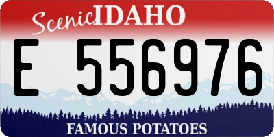ID license plate E556976