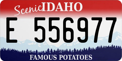 ID license plate E556977