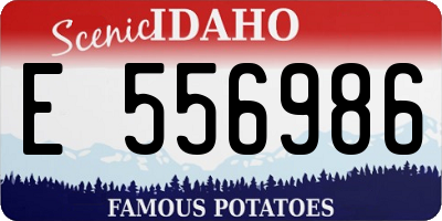 ID license plate E556986