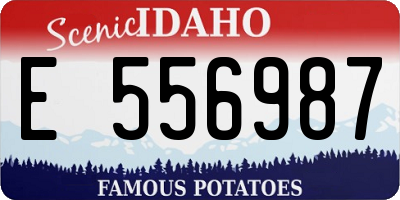 ID license plate E556987