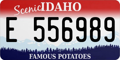 ID license plate E556989