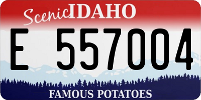 ID license plate E557004