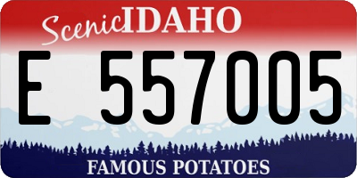 ID license plate E557005