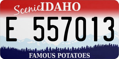 ID license plate E557013