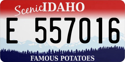 ID license plate E557016