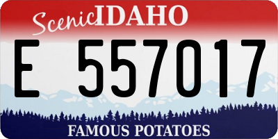 ID license plate E557017