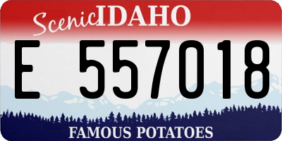 ID license plate E557018