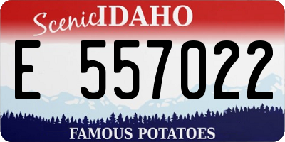 ID license plate E557022