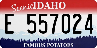 ID license plate E557024