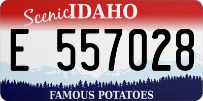 ID license plate E557028