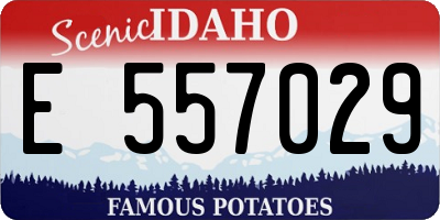 ID license plate E557029