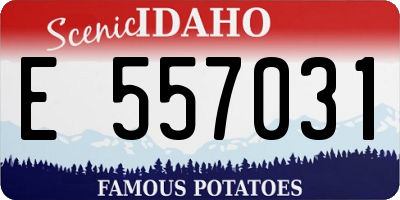 ID license plate E557031