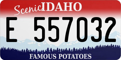 ID license plate E557032