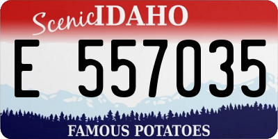 ID license plate E557035