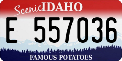 ID license plate E557036
