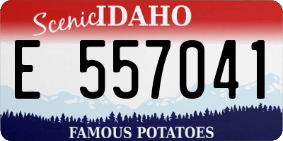 ID license plate E557041