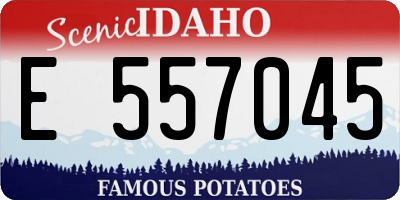 ID license plate E557045