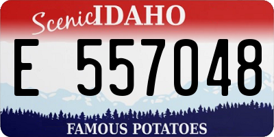 ID license plate E557048