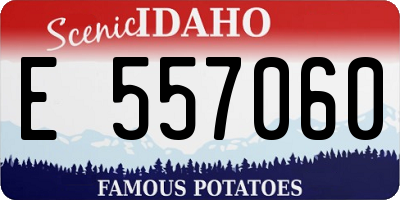 ID license plate E557060