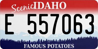 ID license plate E557063