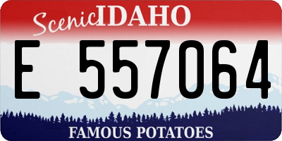 ID license plate E557064