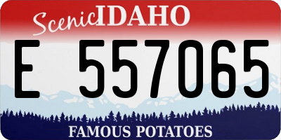 ID license plate E557065