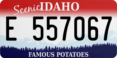 ID license plate E557067
