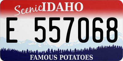 ID license plate E557068