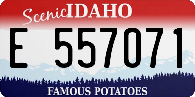 ID license plate E557071
