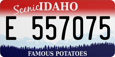 ID license plate E557075