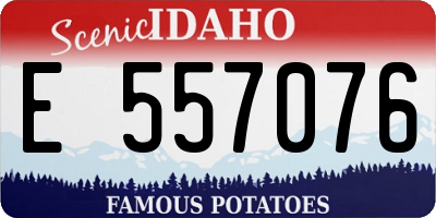 ID license plate E557076