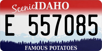 ID license plate E557085