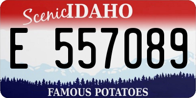 ID license plate E557089