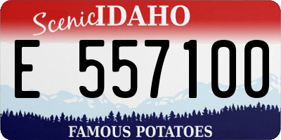 ID license plate E557100